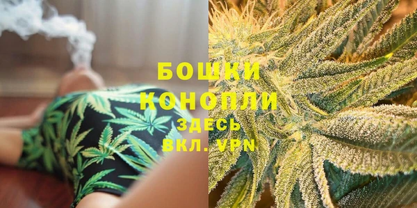 прущие грибы Аркадак