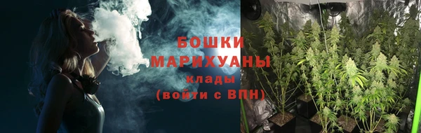прущие грибы Аркадак