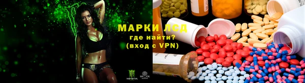 прущие грибы Аркадак