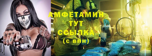 прущие грибы Аркадак