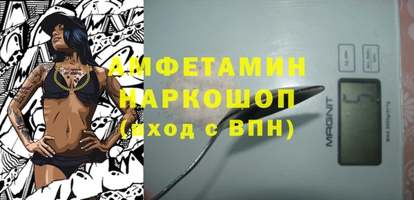прущие грибы Аркадак