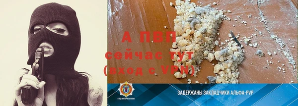 прущие грибы Аркадак