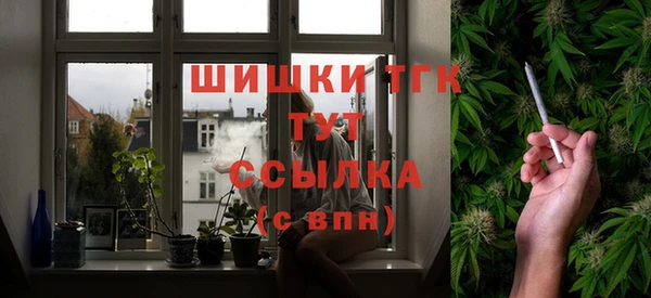 прущие грибы Аркадак